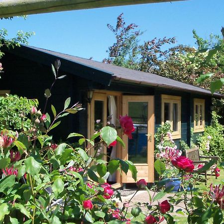 Pet Friendly - Hikers Paradise - South Facing Wells Exterior foto
